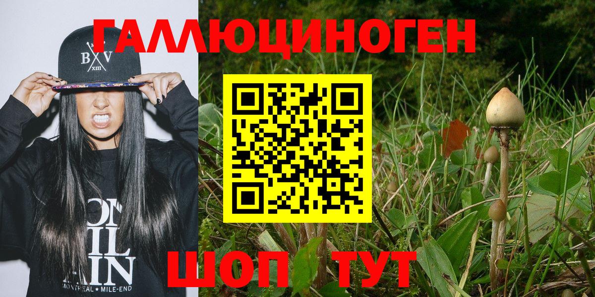 Псилоцибиновые грибы прущие грибы Свободный